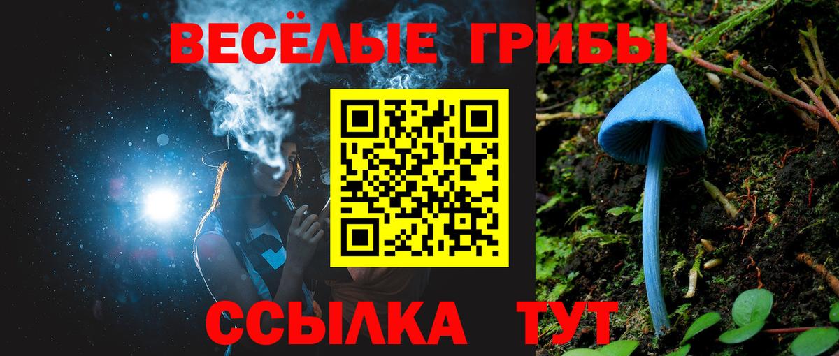 Гуково  Галлюциногенные грибы Magic Shrooms  Вход с VPN 